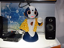 Как будут совершенствовать робота-собаку «aibo»? Накопление опыта и обучение, неповторимость каждой модели