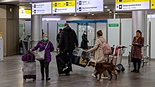 Маску надеть, кресло не покидать: авиаперелеты в РФ возобновятся с новыми правилами для пассажиров