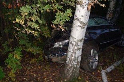 В Тамбовской области погиб водитель иномарки, врезавшейся в дерево