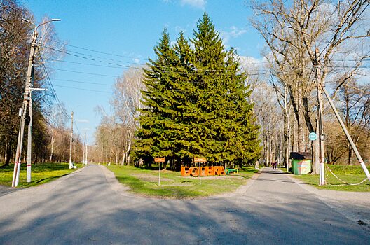 Парк боева дача курск фото