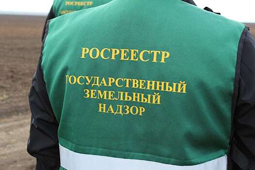 В Оренбуржье за полгода выявили 110 случаев нарушения земельного законодательства