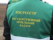 В Оренбуржье за полгода выявили 110 случаев нарушения земельного законодательства