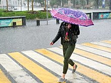 Столичные парки закрыли для посетителей из-за непогоды