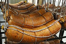 В России начали производство колбасы из тюленей