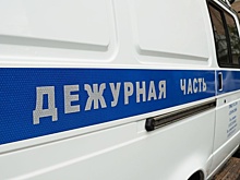 В Северной Осетии злоумышленник провернул аферу по покупке картины XIX века