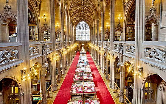24 часа в университетской библиотеке Британии: чем заняться в тишине