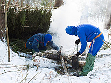 Космонавты и астронавты до 2 февраля пройдут учения по зимнему "выживанию"