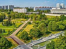 Ласточки вновь вернулись в Москву после зимовки