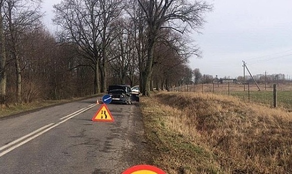 В Озёрском районе BMW врезался в дерево, пострадал 57-летний водитель