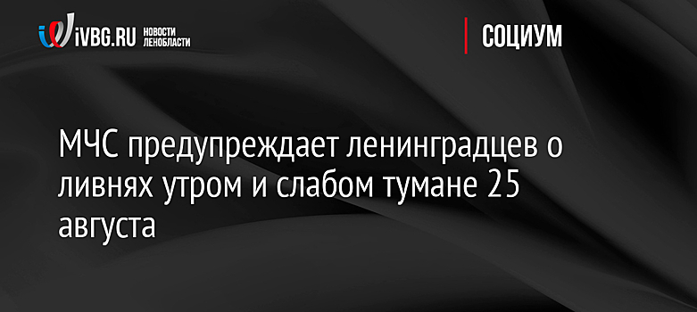 МЧС предупреждает ленинградцев о ливнях утром и слабом тумане 25 августа