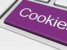 В России предложили разработать законы для защиты cookie-файлов пользователей