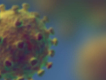 Жителям Ленобласти назвали районы, где меньше болеют коронавирусом