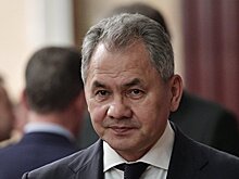 Шойгу отправил де Мистуре разъяснение по Сирии