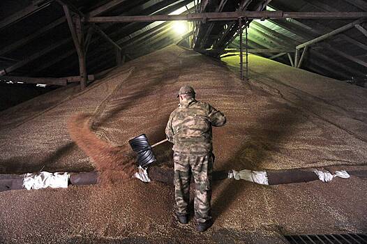 Россия резко снизила вывоз зерна