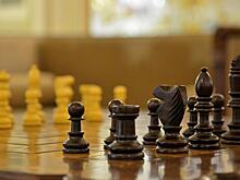 Блицтурнир по шахматам провели в районе Якиманка