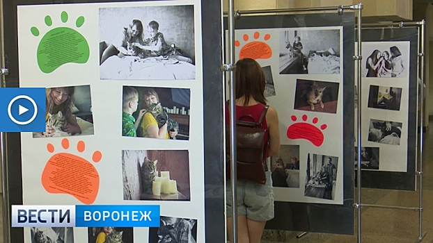 Воронежский фотограф проследил за судьбой покинувших приют животных