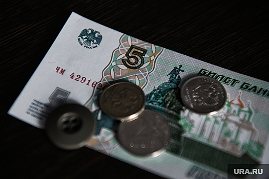 Строительство завода по утилизации биоотходов в Тюмени отложено из-за финансовых проблем инвестора