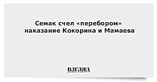 «Давайте всех сажать»: в «Зените» поддержали Кокорина