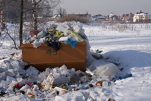 Россияне назвали главную экологическую проблему страны