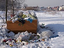 Россияне назвали главную экологическую проблему страны