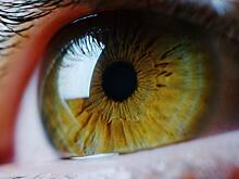 Глаз радуется: о разработках Ростеха в офтальмологии