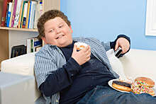 UPF: разрушающие эндокринную систему вещества повышают риск ожирения у детей