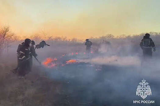 У деревни Курганная в Хакасии начался пожар