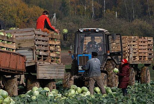 В Белоруссии отобранные права хотят возвращать досрочно