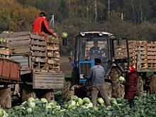 В Белоруссии отобранные права хотят возвращать досрочно