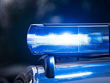 В Зверево полицейские задержали грабителя