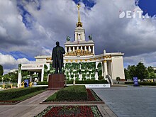 История вместо футбола: Федоров рассказал о русском национальном «виде спорта»