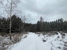 МЧС выпустило метеопредупреждение рязанцам на 31 декабря