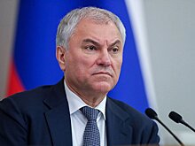 Володин провел совещание с руководителями политических фракций