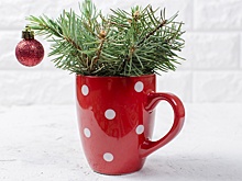 Оформление окон к Новому году своими руками: идеи и советы экспертов