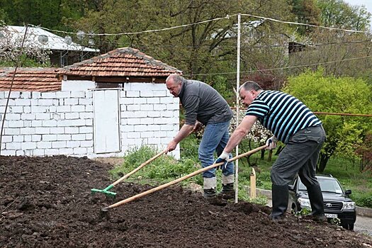 Президент Грузии показал свой богатый урожай картошки