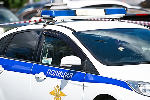 В Бурятии молодую мать обвинили в мошенничестве в крупном размере