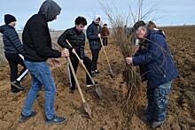 «Сад памяти» высадил миллионное дерево