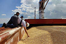 Глава РЗС Злочевский: Египет отказался от российского зерна из-за высоких цен