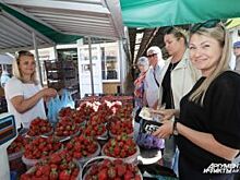 Лето начинается с клубники. В Калининграде стартовал ягодный сезон