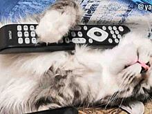 Назван ТОП-5 атмосферных фильмов на новогодние праздники