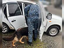 Сотрудники правоохранительных органов в Ингушетии пресекли доставку в республику более 500 г мефедрона