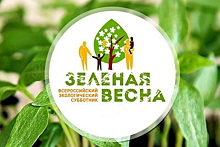Экологический субботник «Зеленая весна – 2024»