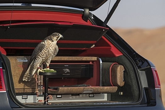 Необычные опции: комфорт для оригиналов