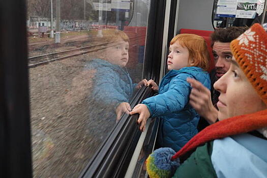 Забывчивые пассажиры оставили на вокзале семью хомяков