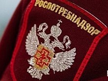 В Татарстане лишь 2% предприятий продовольственной торговли нарушают "антиковидные" предписания