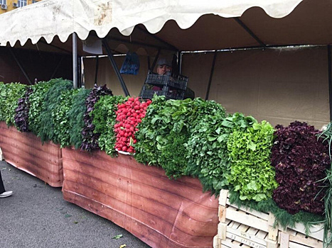 Продавцы с рынка на "Авроре" записали видеообращение Путину