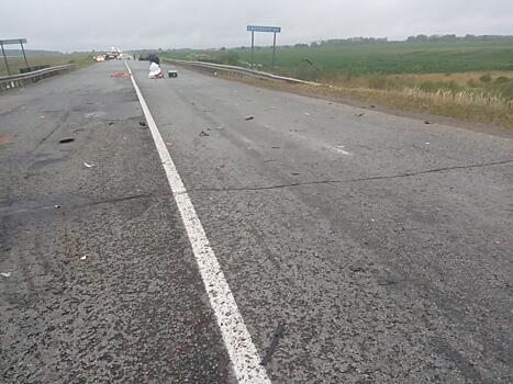 В Глазовском районе в результате двойного наезда автомобилями погибли женщина и корова