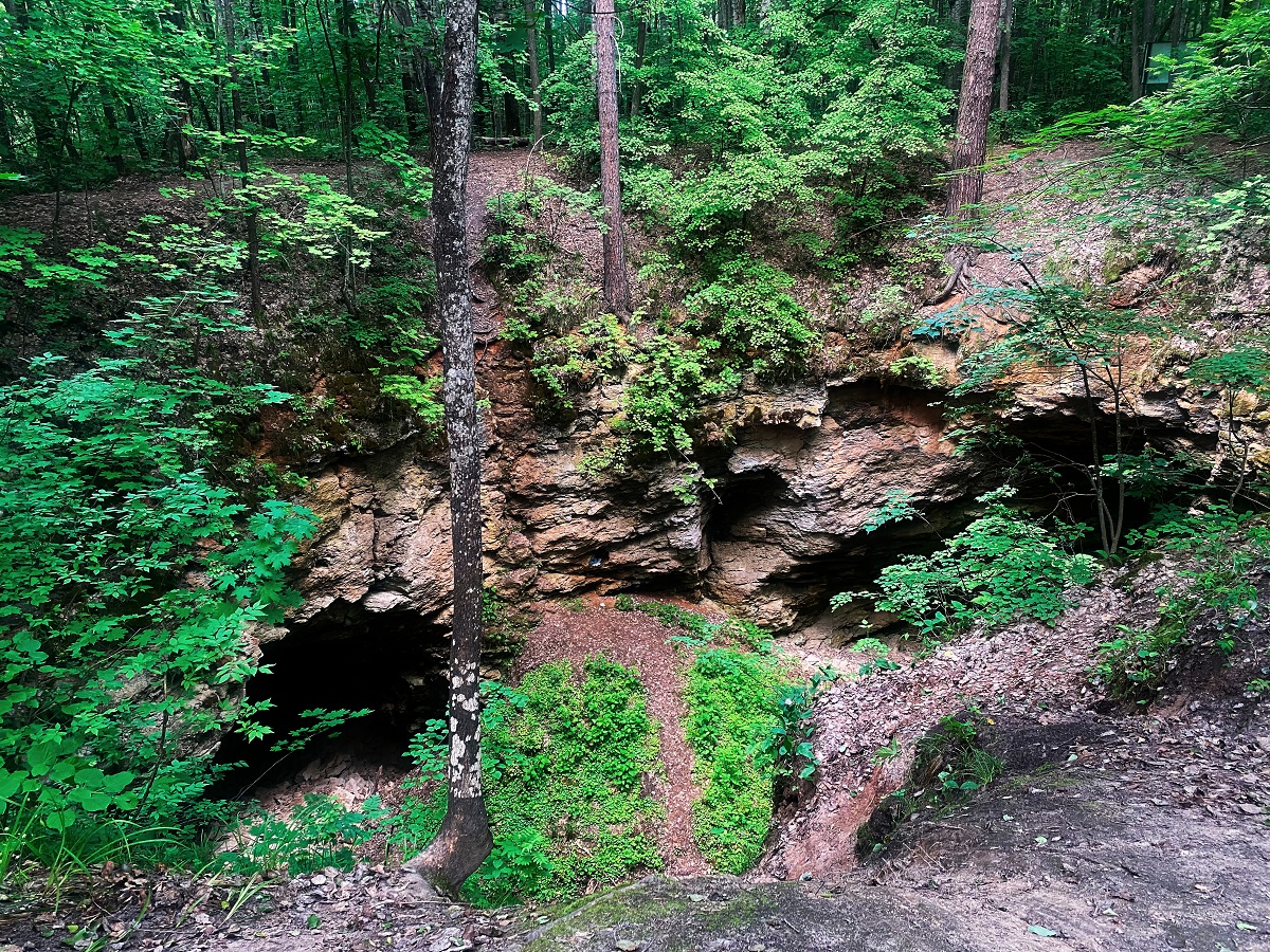 Татищева 24 тольятти поликлиника карта как доехать