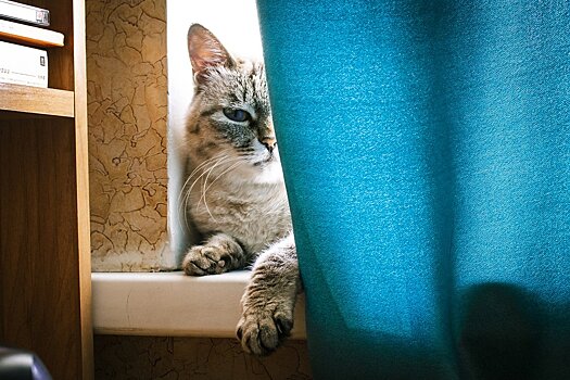 Итоги дня: объявление нерабочей недели в Удмуртии и изменение тарифов на водоснабжение в Ижевске