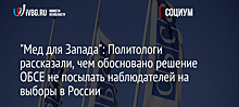 "Мед для Запада": Политологи рассказали, чем обосновано решение ОБСЕ не посылать наблюдателей на выборы в России